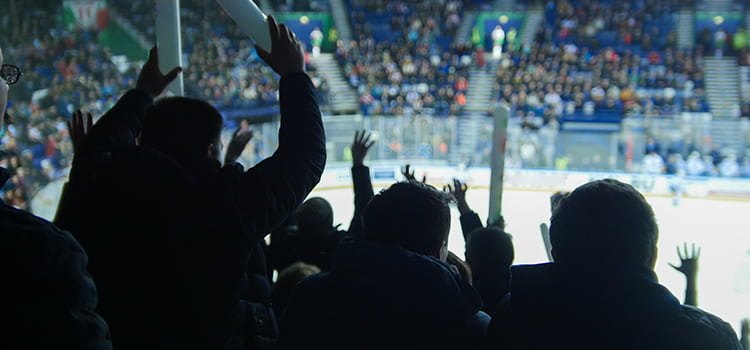 Hockey fans cheer from the stands at a game